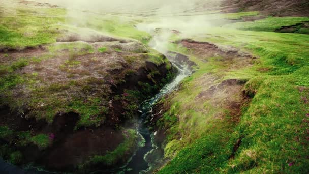 Hot Geothermal Stream Iceland Beautiful View River Thermal Springs Steam — Stock Video