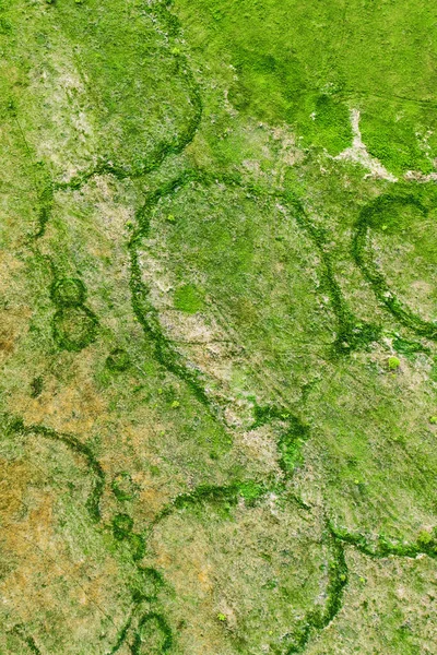 Зеленые Поля Странными Следами Сверху Естественный Абстрактный Летний Сезонный Фон — стоковое фото