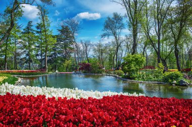 Emirgan Parkı 'nda geleneksel Lale Festivali. İlkbaharda tarihi bir şehir parkı.