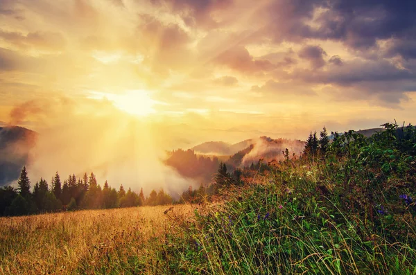 Туманный Утренний Летний Сказочный Пейзаж Облаками Туманом Сияющим Солнцем — стоковое фото