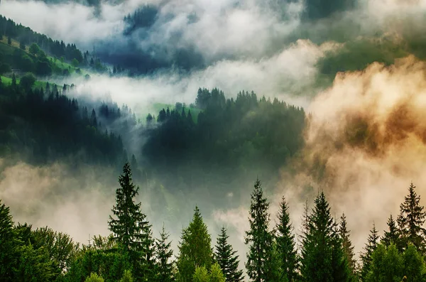 Туманный Пейзаж Горами Огненным Лесом Стиле Хипстерского Ретро — стоковое фото