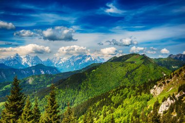 Triglav dağları üzerindeki bulut gölgeli manzara - yeşil ormanlı Golica dağından manzara - yaz mevsiminde seyahat kavramı
