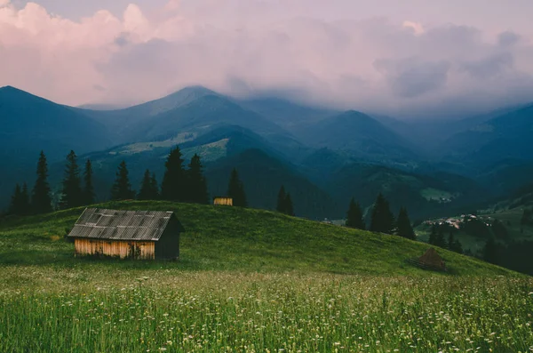 Karpackie Góry Letni Krajobraz Zachmurzonym Niebem Domem Naturalne Letnie Tło — Zdjęcie stockowe