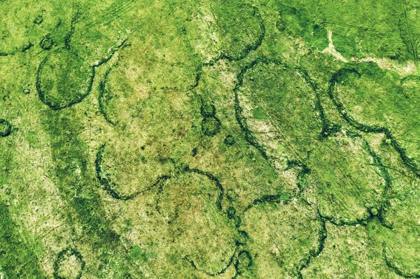 Зеленые Поля Странными Следами Сверху Естественный Абстрактный Летний Сезонный Фон — стоковое фото
