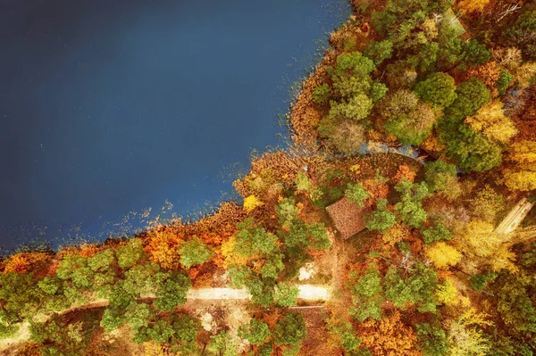 Aerial View River Autumn Trees Seasonal Background — Zdjęcie stockowe