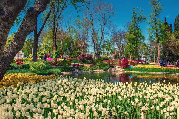 Emirgan Parkı 'nda geleneksel Lale Festivali. İlkbaharda tarihi bir şehir parkı.