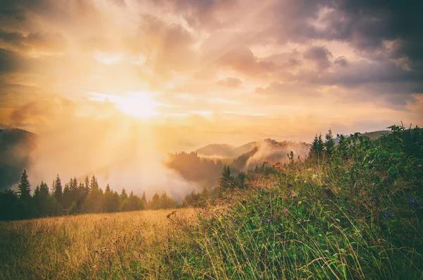 Bulutlar Sis Güneş Parlayan Sisli Yaz Perisi Manzarası — Stok fotoğraf