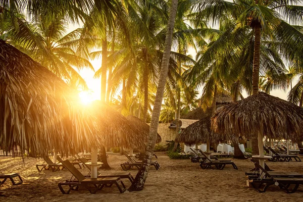 Пляж Окария Доминиканской Республике Тропический Идиллический Летний Пейзаж Пальмами Соломенными — стоковое фото
