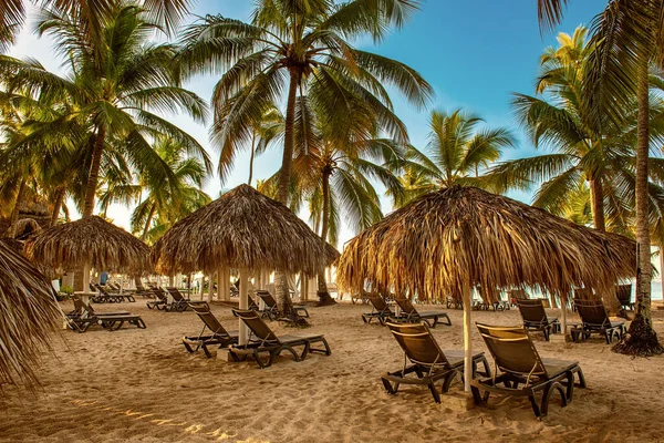 Пляж Окария Доминиканской Республике Тропический Идиллический Летний Пейзаж Пальмами Соломенными — стоковое фото