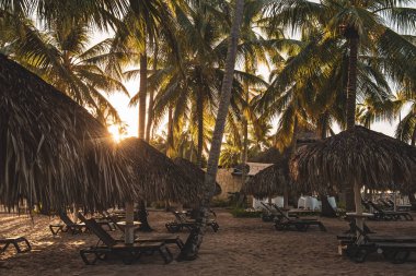 Dominik Cumhuriyeti 'ndeki güzel Karayip plajı. Palmiye ağaçları ve saman kulübeleriyle tropik cennet yaz manzarası. Kopyalama uzayı ile seyahat et. Tatil gevşeme kavramı