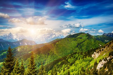 Triglav dağları üzerindeki bulut gölgeli manzara - yeşil ormanlı Golica dağından manzara - yaz mevsiminde seyahat kavramı