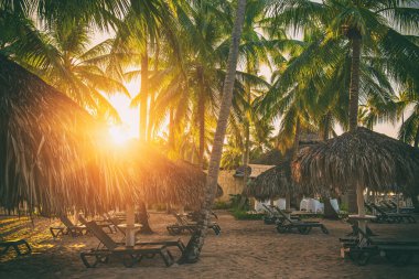 Dominik Cumhuriyeti 'ndeki güzel Karayip plajı. Palmiye ağaçları ve saman kulübeleriyle tropik cennet yaz manzarası. Kopyalama uzayı ile seyahat et. Tatil gevşeme kavramı