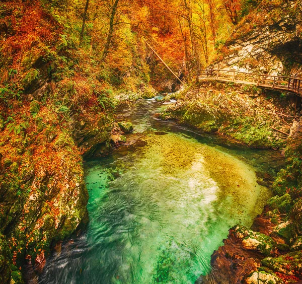 Famoso Cañón Vintgar Canyon Bled Parque Nacional Triglav Eslovenia Europa — Foto de Stock
