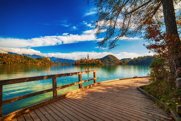 Puinen Laituri Lake Bledissä Sloveniassa Sininen Taivas Puu Pilvet Syksyllä — kuvapankkivalokuva