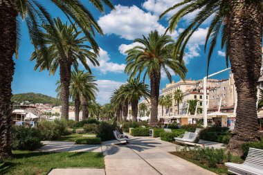 Hırvatistan 'ın Dalmaçya kentindeki Riva liman manzaralı Eski Split kasabasındaki palmiye ağaçları