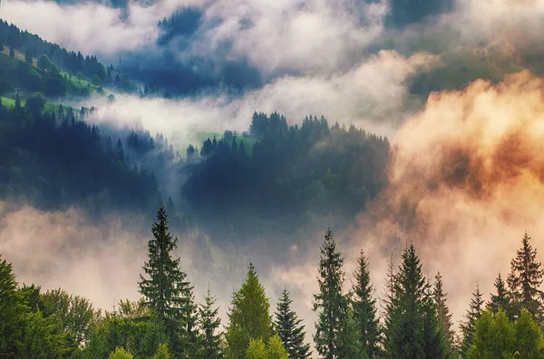 Туманный Пейзаж Горами Огненным Лесом Стиле Хипстерского Ретро — стоковое фото