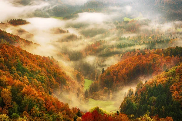 ヴィンテージのレトロなヒップスタースタイルのコピースペースと霧の山の風景 スロベニアの秋の季節 晴れた日の出 — ストック写真