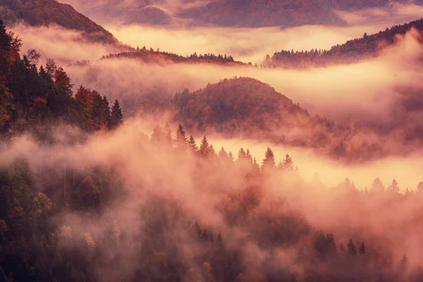 Туманный Туманный Горный Пейзаж Копирайтом Стиле Винтажного Ретро Хипстера Осенний — стоковое фото