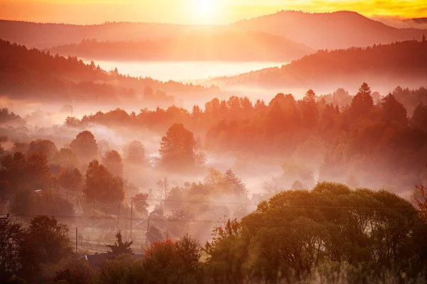 山の範囲と霧の森 素晴らしい秋の日の出と霧のような朝の風景 カルパティア山脈 ウクライナ — ストック写真