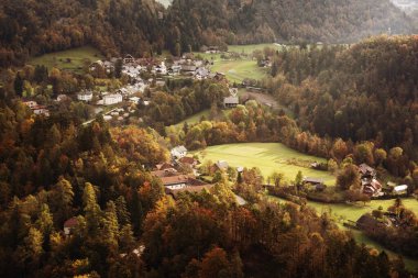 Slovenya 'da, köy ve göl kenarındaki orman ile kırsal sonbahar manzarası, doğal mevsimlik arka plan.