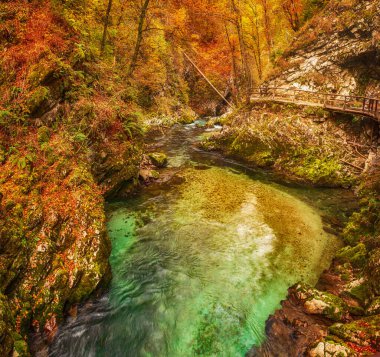 Ünlü Vintgar Vadisi Kanyonu, Bled, Ulusal Park Triglav, Slovenya, Sonbaharda Avrupa, mevsimlik manzara