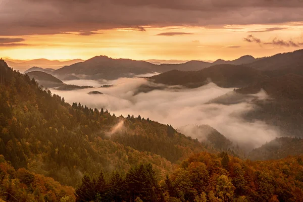 ヴィンテージのレトロなヒップスタースタイルのコピースペースと霧の山の風景 スロベニアの秋の季節 晴れた日の出 — ストック写真