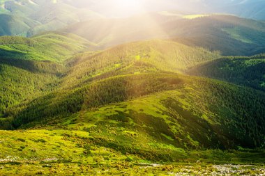 Karpat Dağları yaz manzarası, mevsimlik yeşil tepeli doğal arka plan