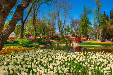 Emirgan Parkı 'nda geleneksel Lale Festivali. İlkbaharda tarihi bir şehir parkı.