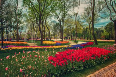 Emirgan Parkı 'nda geleneksel Lale Festivali. İlkbaharda tarihi bir şehir parkı.