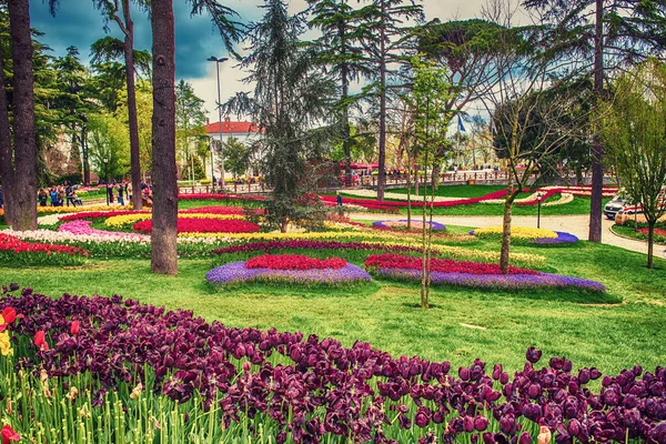 stock image Traditional Tulip Festival in Emirgan Park, a historical urban park at springtime, spring travel background