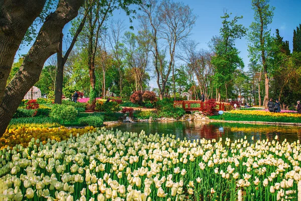 stock image Traditional Tulip Festival in Emirgan Park, a historical urban park at springtime, spring travel background