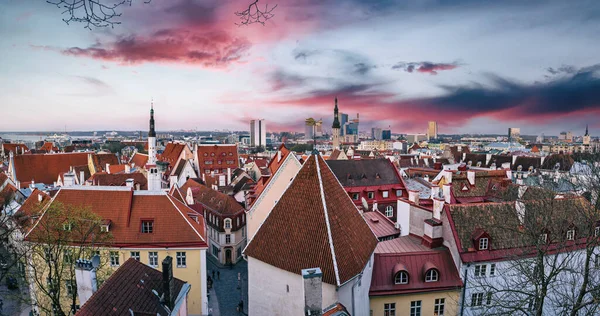 日没後にヨーロッパの都市タリンを表示し 屋外の背景を旅行 — ストック写真