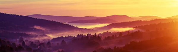 山の範囲と霧の森 素晴らしい秋の日の出と霧のような朝の風景 カルパティア山 ウクライナ パノラマビュー — ストック写真