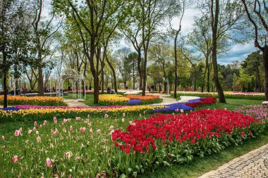 Emirgan Parkı 'nda geleneksel Lale Festivali. İlkbaharda tarihi bir şehir parkı.