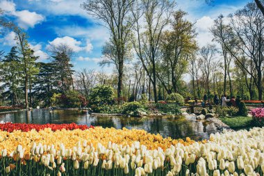 Emirgan Parkı 'nda geleneksel Lale Festivali. İlkbaharda tarihi bir şehir parkı.