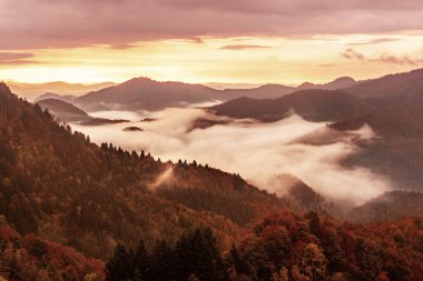 Sisli sisli dağ manzarası. Kopyalama alanı eski moda hipster tarzında. Slovenya 'da sonbahar mevsimi, güneşli gün doğumu