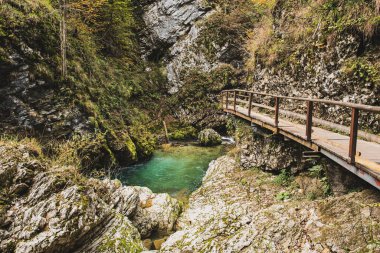 Meşhur Vintgar Vadisi Ağaç Yolu, Bled, Ulusal Park Triglav, Slovenya, Avrupa sonbaharda