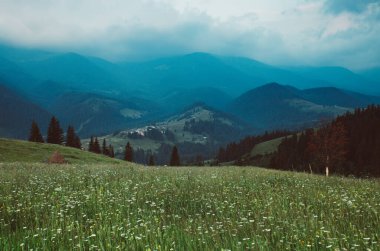 Karpat Dağları yaz manzarası, klasik hipster doğal arka plan.