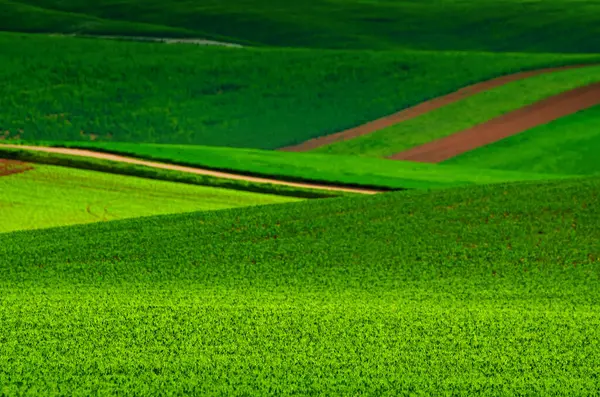 Rolling green hills with fields suitable for backgrounds or wallpapers, natural seasonal landscape. Southern Moravia, Czech republic