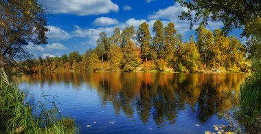 panoramik göl sonbahar sarı ve yeşil ağaçlar, doğal Mevsimlik arka plan ile
