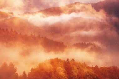 Sisli sonbahar dağ manzarası köknar ormanı ve eski moda hipster tarzında telif uzayı Slovenya 'da sonbahar sezonu.