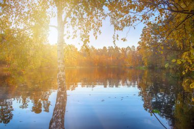 Göl sonbahar sarı ve yeşil ağaçlar ve mavi gökyüzü, doğal Mevsimlik arka plan görünümünü