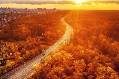 Kırmızı sonbahar ormanı boyunca otoyol manzarası yukarıdan, seyahat macerası konsepti