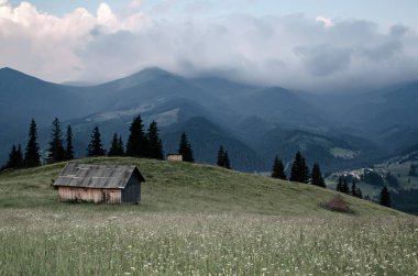 Karpat Dağları yaz manzarası bulutlu gökyüzü ve ev, doğal yaz yolculuğu arka planı.