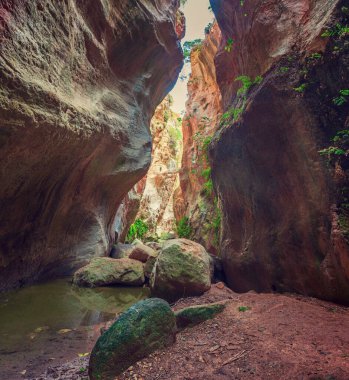 Kıbrıs 'taki Avakas Kanyonu' nun inanılmaz doğal manzarası. Uçurumları, dağları, kayaları ve ağaçları olan ulusal vahşi bir park. Turistler ve gezginler için keşfedilecek derin doğal vadi