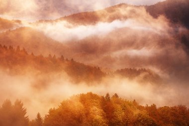 Sisli sonbahar dağ manzarası köknar ormanı ve eski moda hipster tarzında telif uzayı Slovenya 'da sonbahar sezonu.