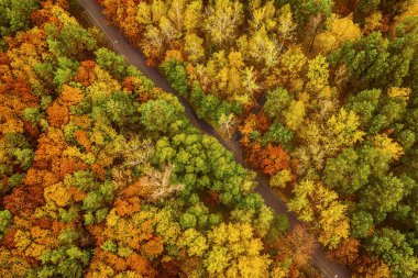 Yukarıda renkli bir sonbahar ormanı var. Bomboş bir yol ve insansız hava aracıyla ele geçirilmiş. Doğal mevsimsel manzara arka planı.