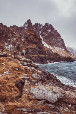 Kuzey Norveç 'teki Lofoten Adaları' ndaki kırmızı çimlerde mavi gökyüzü, dağlar ve karlı güzel kış deniz manzarası