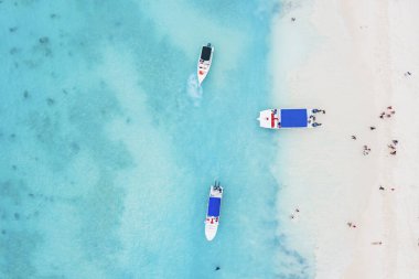 Saona adasındaki güzel Karayip plajı, Dominik Cumhuriyeti. Yeşil palmiye ağaçları, deniz kıyıları ve beyaz kumla tropikal cennet manzarası