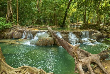 Ton Nga Chang Şelalesi, Erawan, Songkhla, Tayland 'da orman ve şelale. Tourustic Cazibe ve ünlü gezgin doğa ormanları.
